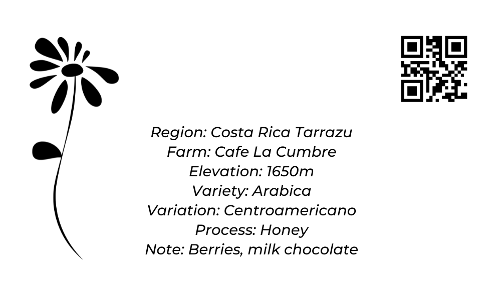 Costa Rica - Cafe La Cumbre