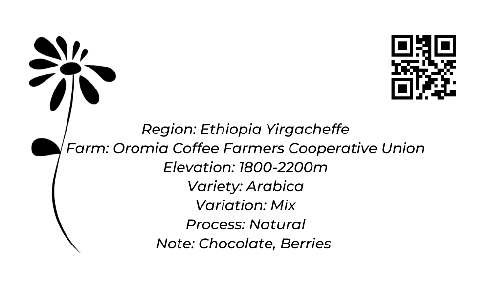 Ethiopia - Yirgacheffe G1